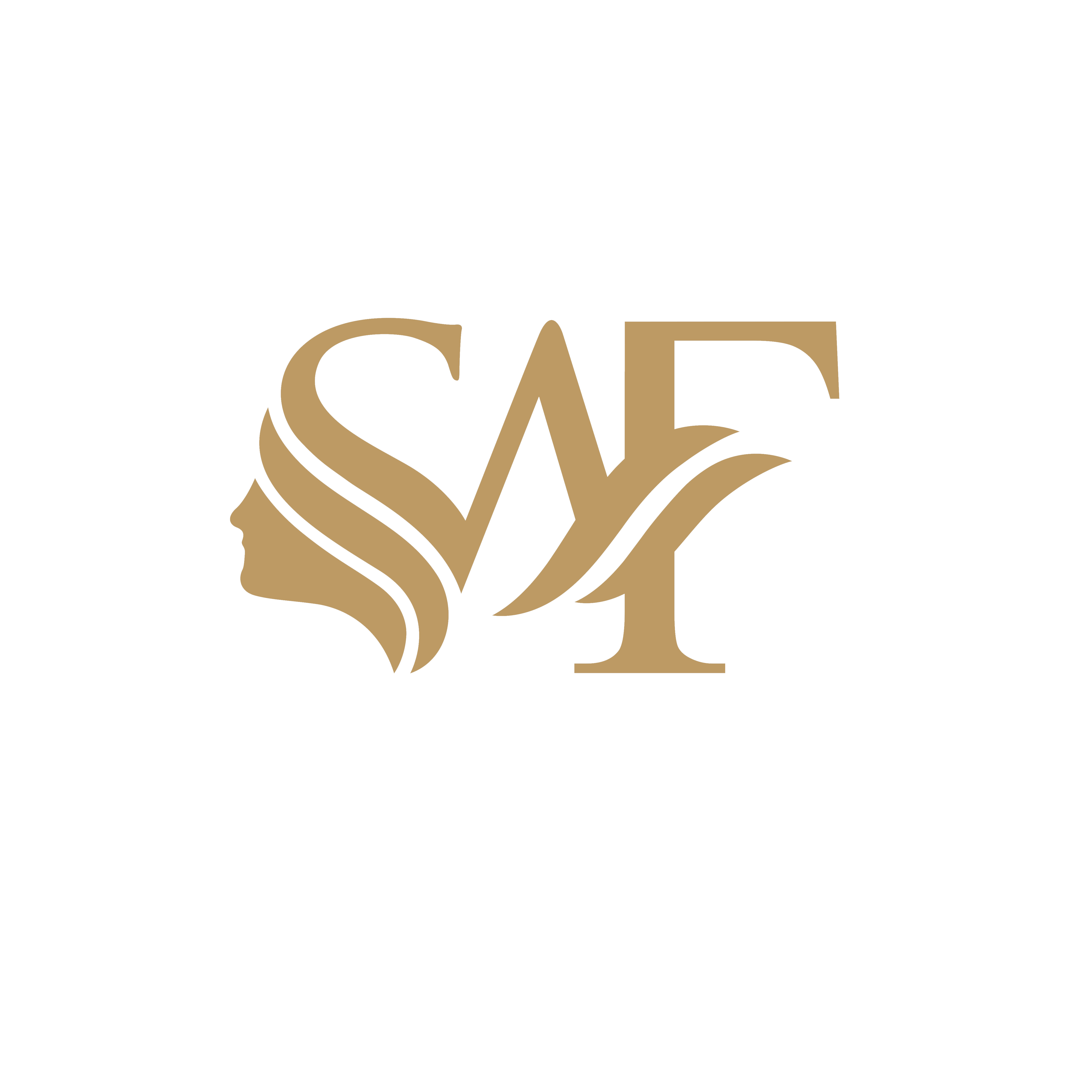 Salon Artistry Firm